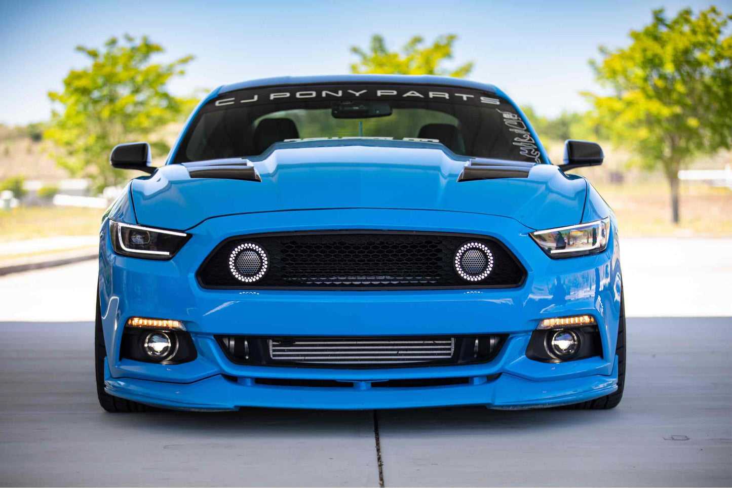 XB LED Turns: Ford Mustang (15-17) (Pair / Smoked)