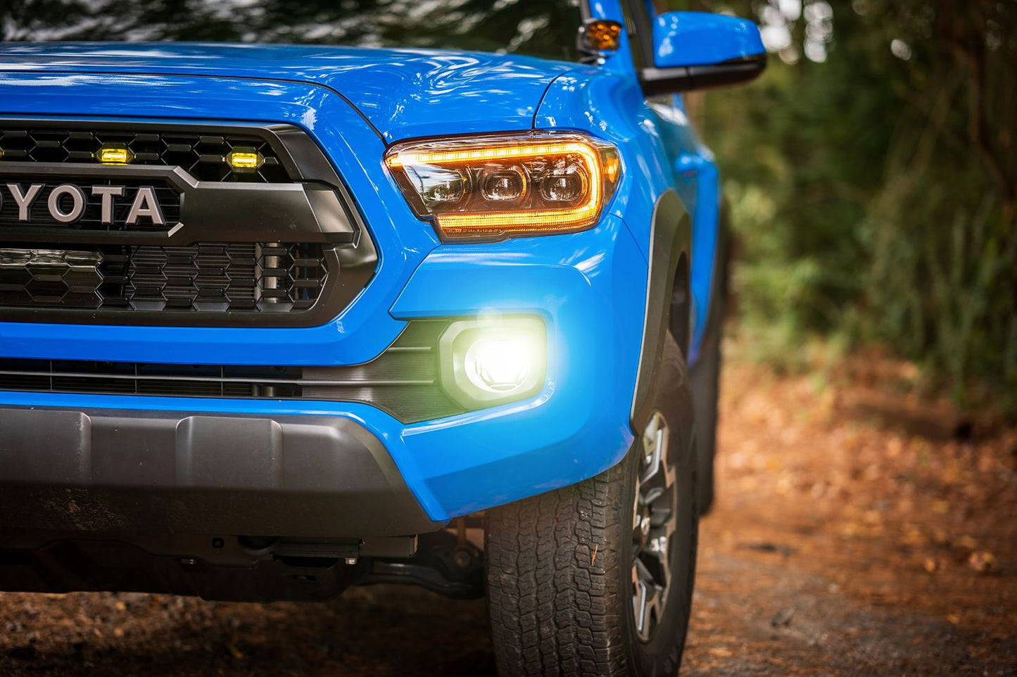 Morimoto 4Banger Fog Light Kit 10-13 4Runner