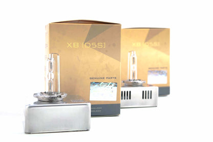 D5S: XB