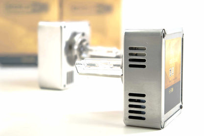 D5S: XB
