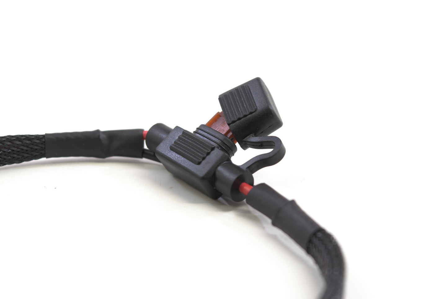 Fuse Box Harness: O-Ring Terminals (12V +/-)