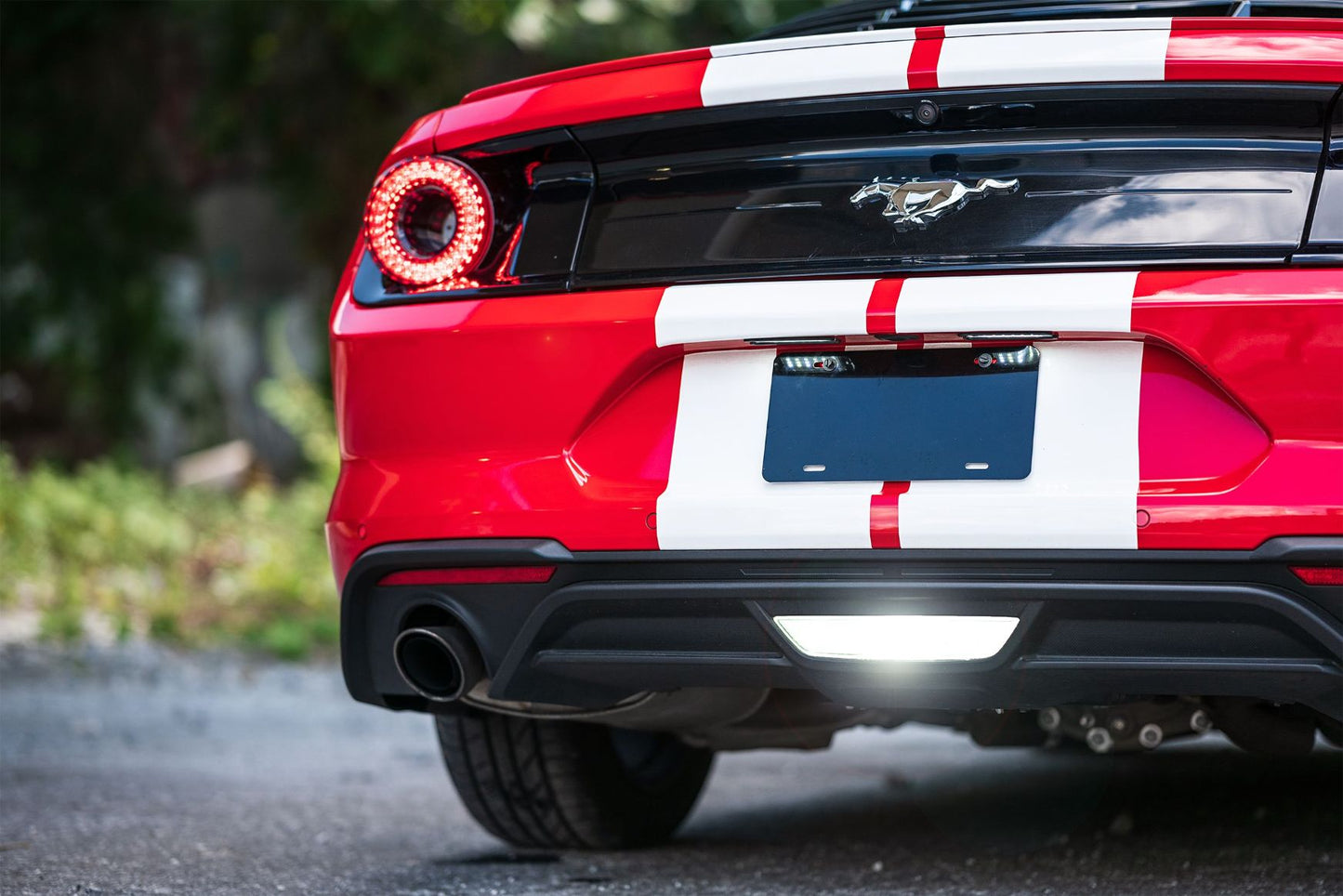 XB License Plate Lights: Ford Mustang (15-20 / Pair)
