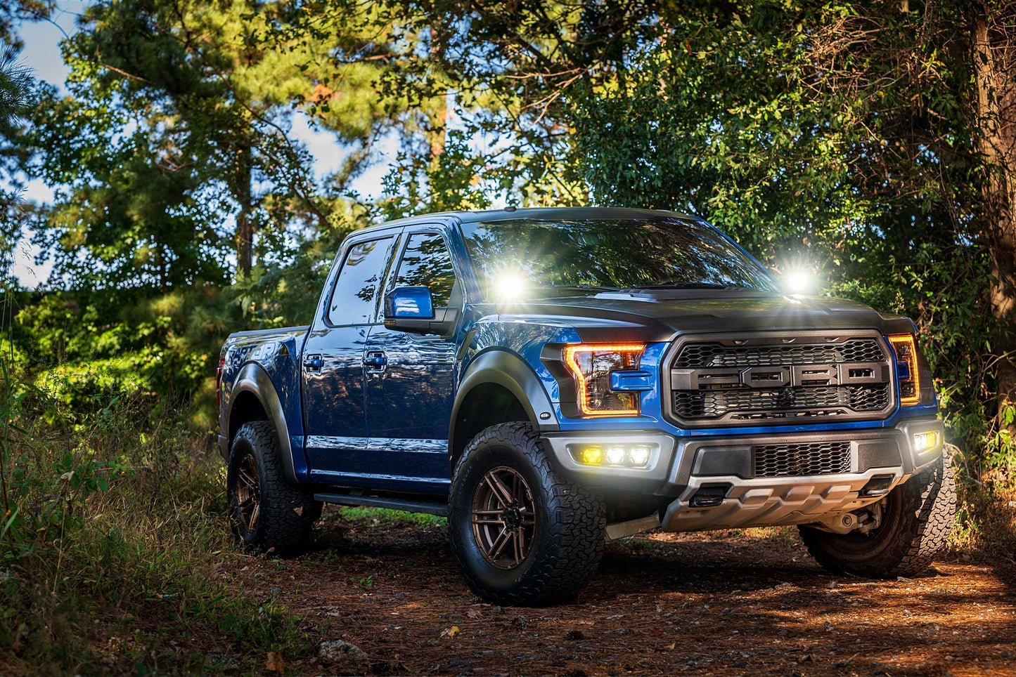 Morimoto 4Banger Ditch Light Kit 15-20 F150