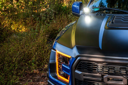 Morimoto 4Banger Ditch Light Kit 15-20 F150
