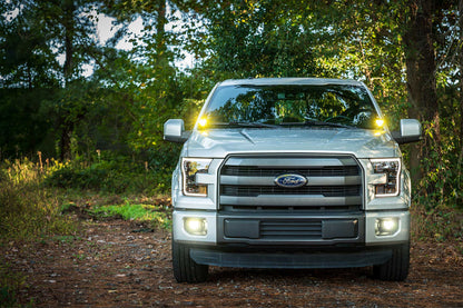 Morimoto 4Banger Ditch Light Kit 15-20 F150